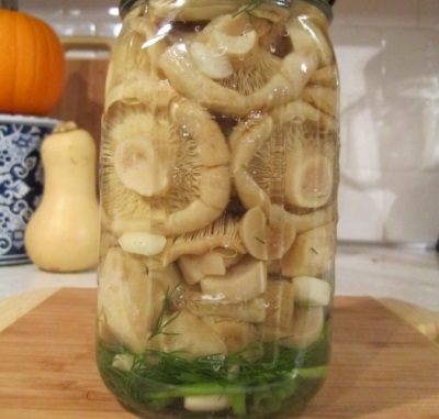  Marinated russules