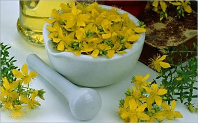  Characteristic of Hypericum