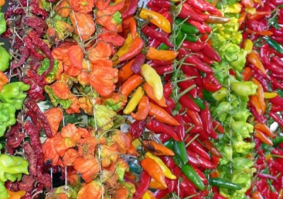  Dried chilli peppers