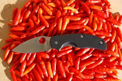  Tabasco peppers have quite a few useful properties.