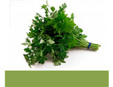  Parsley